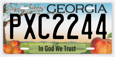 GA license plate PXC2244