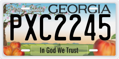 GA license plate PXC2245
