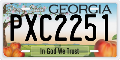 GA license plate PXC2251