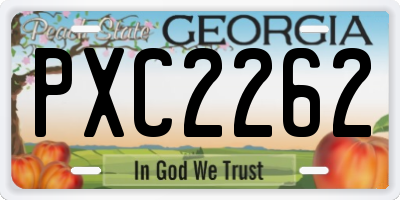 GA license plate PXC2262