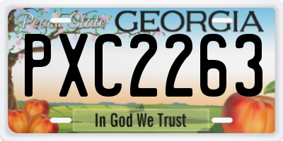 GA license plate PXC2263