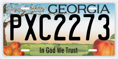 GA license plate PXC2273