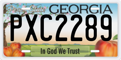 GA license plate PXC2289
