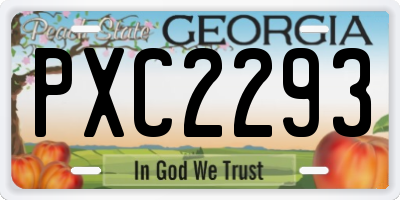 GA license plate PXC2293