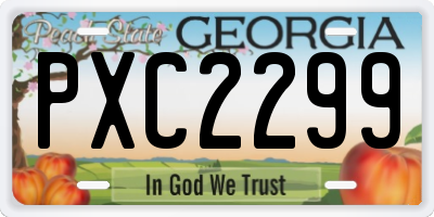 GA license plate PXC2299