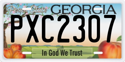 GA license plate PXC2307