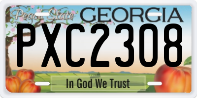 GA license plate PXC2308