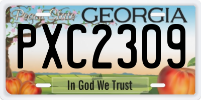 GA license plate PXC2309