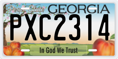 GA license plate PXC2314