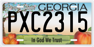 GA license plate PXC2315