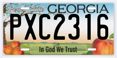 GA license plate PXC2316