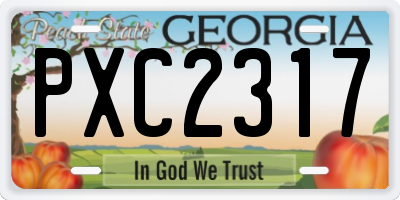 GA license plate PXC2317
