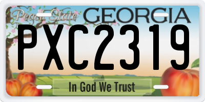 GA license plate PXC2319