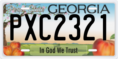 GA license plate PXC2321
