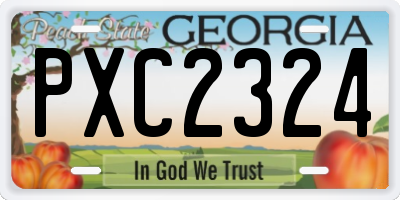 GA license plate PXC2324