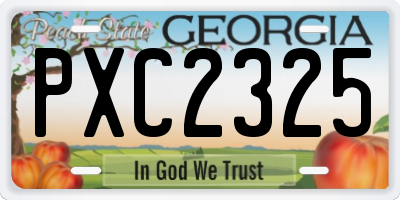 GA license plate PXC2325