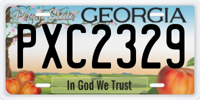 GA license plate PXC2329