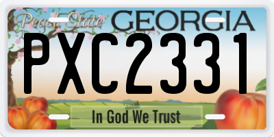 GA license plate PXC2331