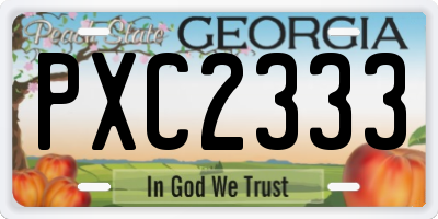 GA license plate PXC2333