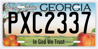 GA license plate PXC2337