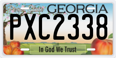 GA license plate PXC2338