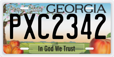 GA license plate PXC2342