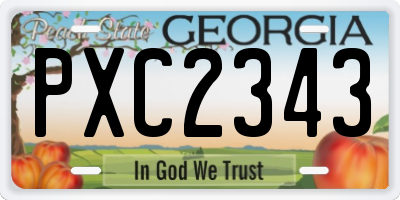 GA license plate PXC2343