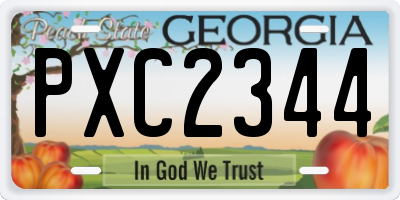 GA license plate PXC2344