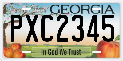 GA license plate PXC2345