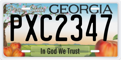 GA license plate PXC2347