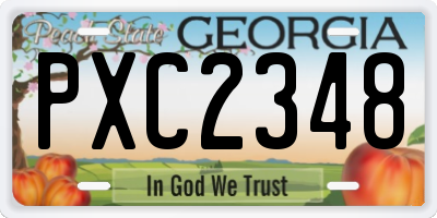 GA license plate PXC2348