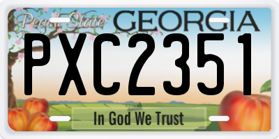 GA license plate PXC2351