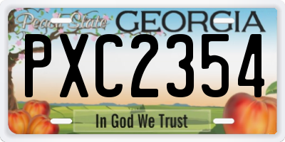 GA license plate PXC2354