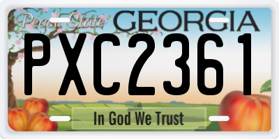 GA license plate PXC2361