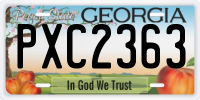 GA license plate PXC2363