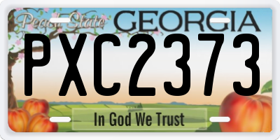 GA license plate PXC2373