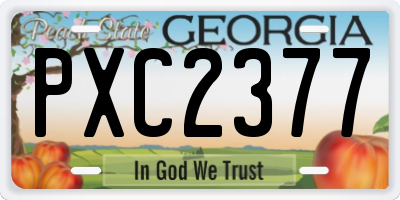 GA license plate PXC2377