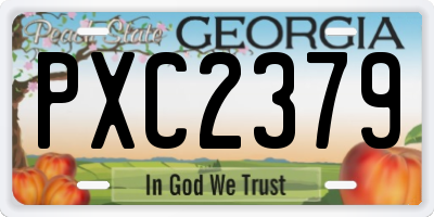 GA license plate PXC2379
