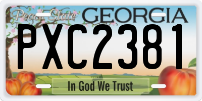 GA license plate PXC2381