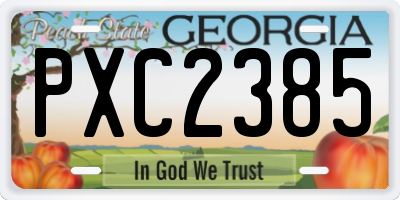 GA license plate PXC2385
