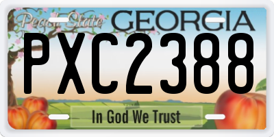 GA license plate PXC2388
