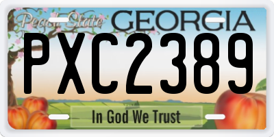 GA license plate PXC2389
