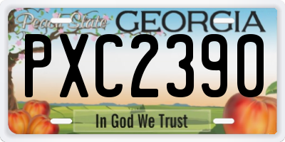 GA license plate PXC2390