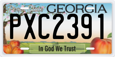 GA license plate PXC2391