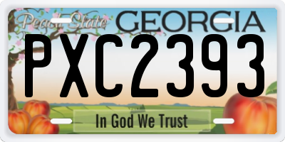GA license plate PXC2393