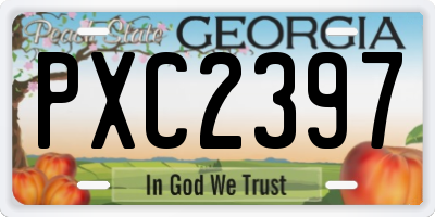 GA license plate PXC2397