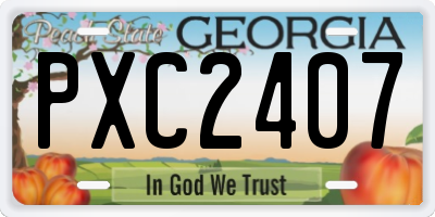 GA license plate PXC2407