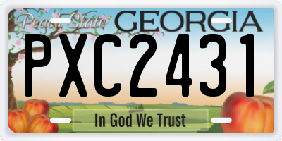 GA license plate PXC2431