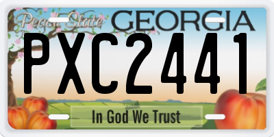 GA license plate PXC2441