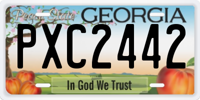GA license plate PXC2442